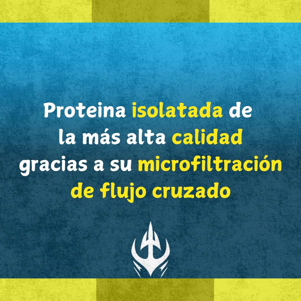 Isolate Gourmet 2 Libras